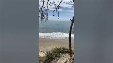 nude beach in santa barbara|More Mesa Beach in Santa Barbara, CA